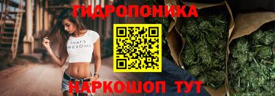a pvp Апрелевка