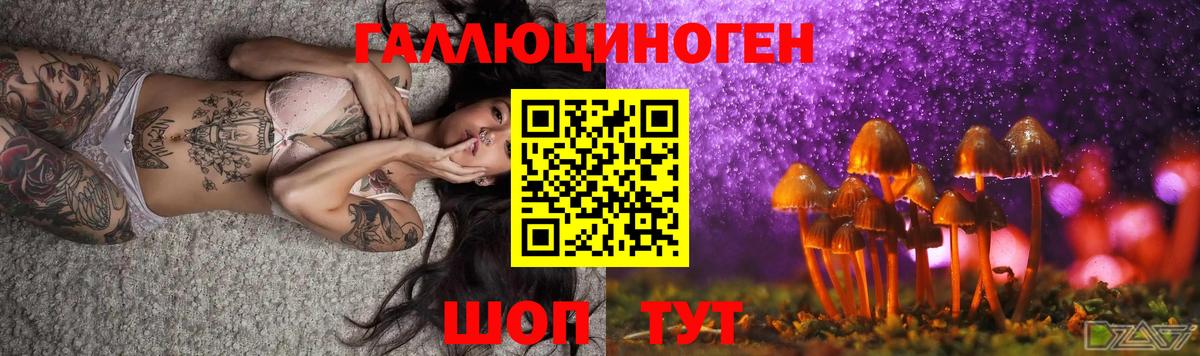 Псилоцибиновые грибы Psilocybine cubensis Всеволожск